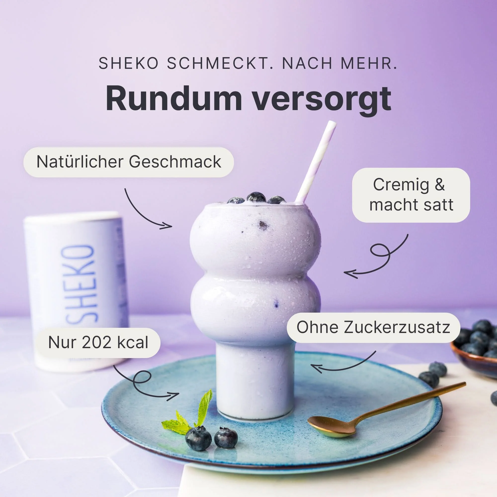 Balance Shake Blaubeere - Image 2