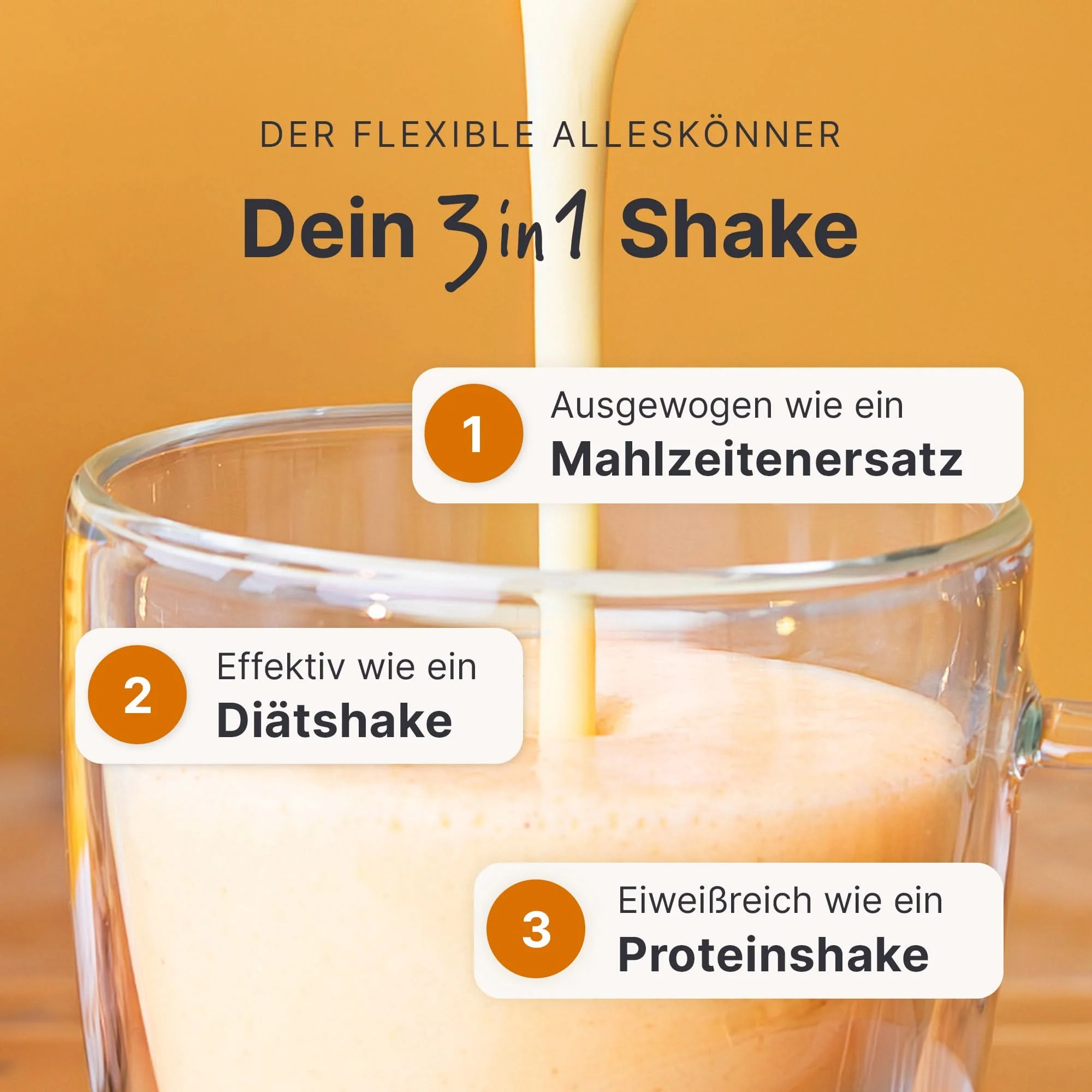 Balance Shake Winterspice - Image 5
