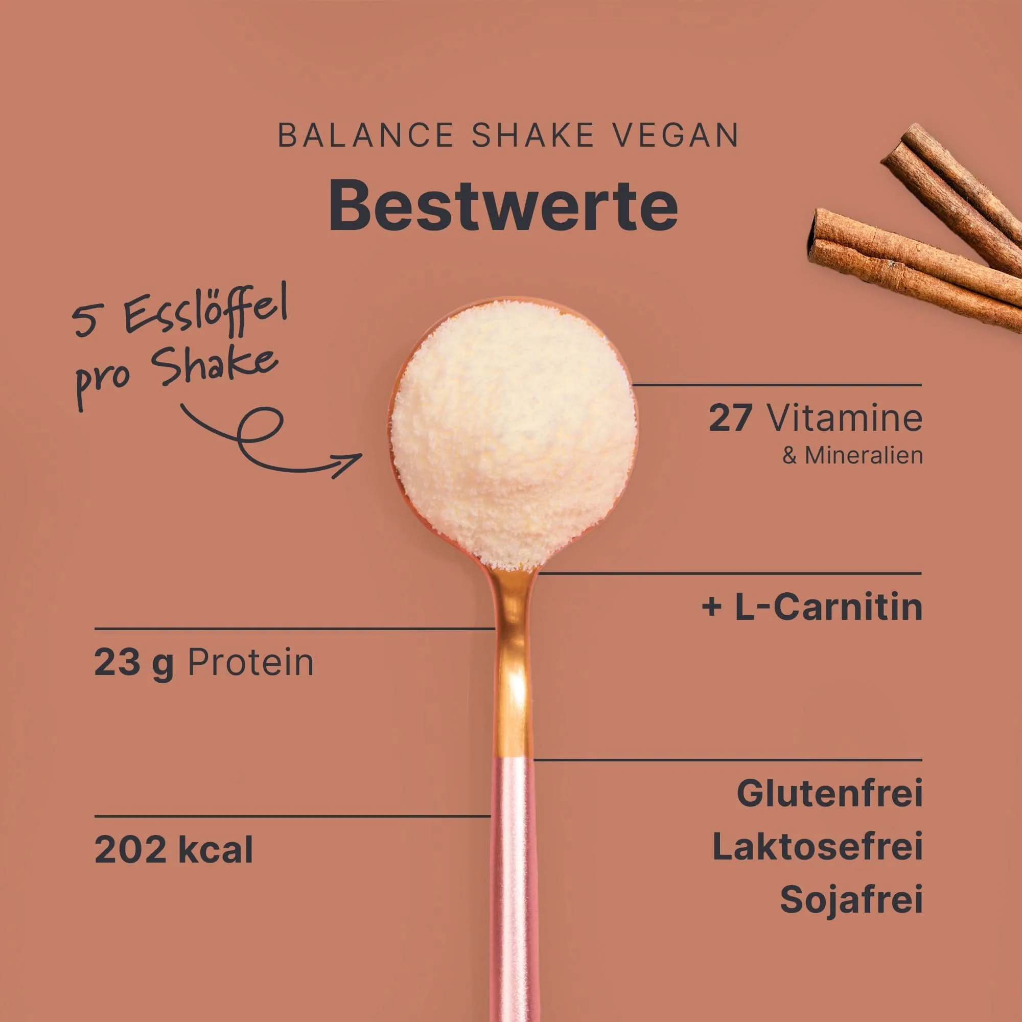 Balance Shake Vegan Zimt - Image 3