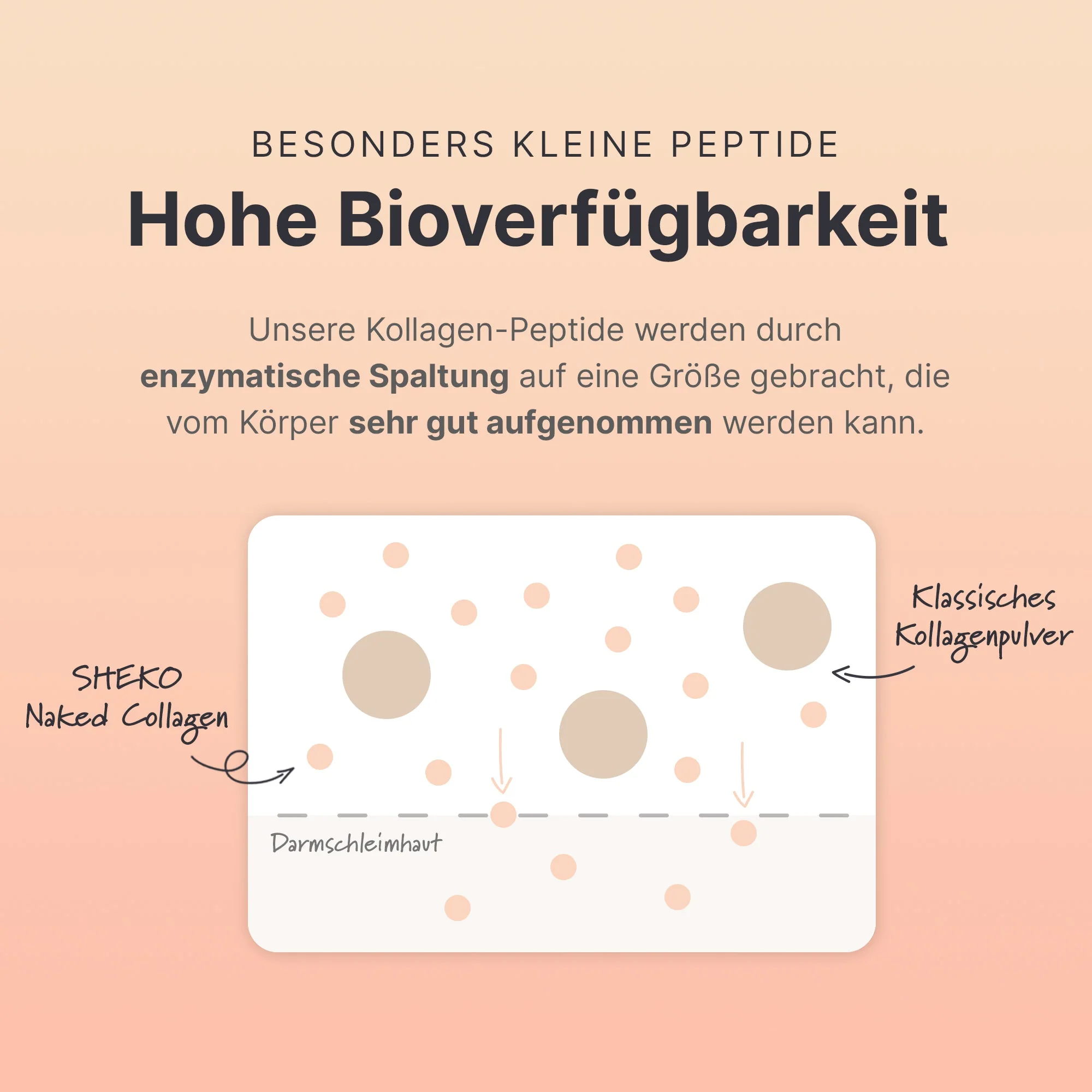 Multi Kollagen Pulver - Image 8