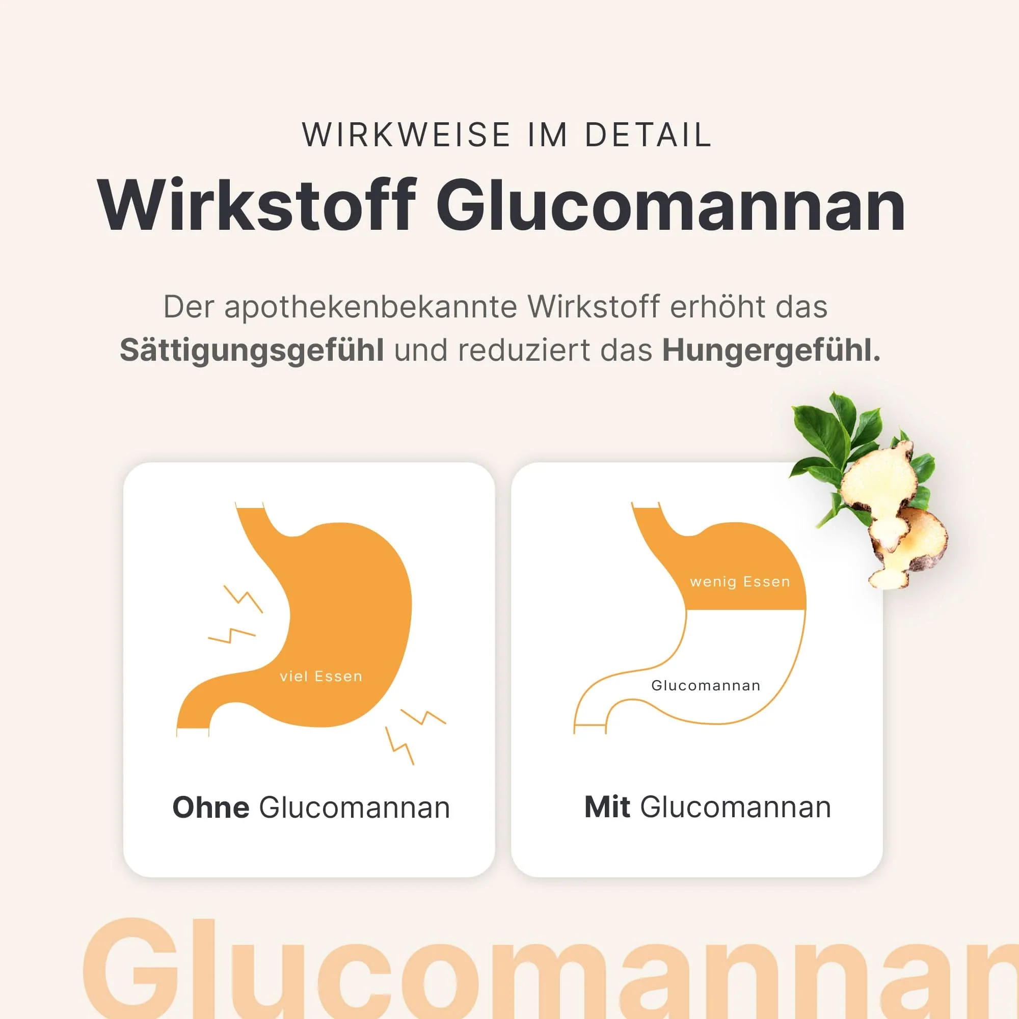 4 Wochen Sommer Starter-Set - Image 6