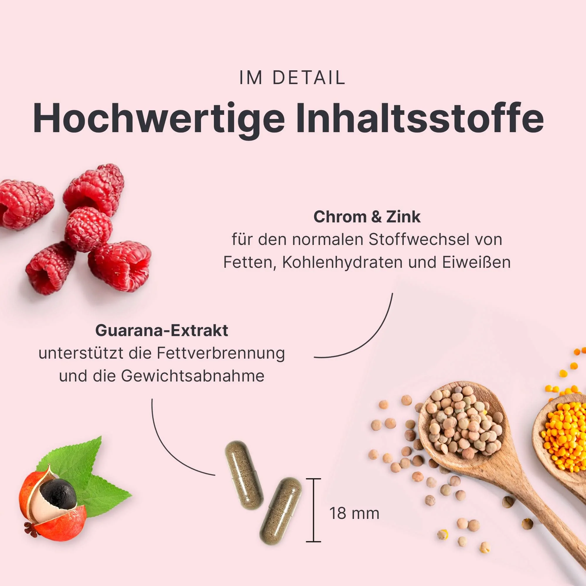 Fettstoffwechsel Komplex - Image 3