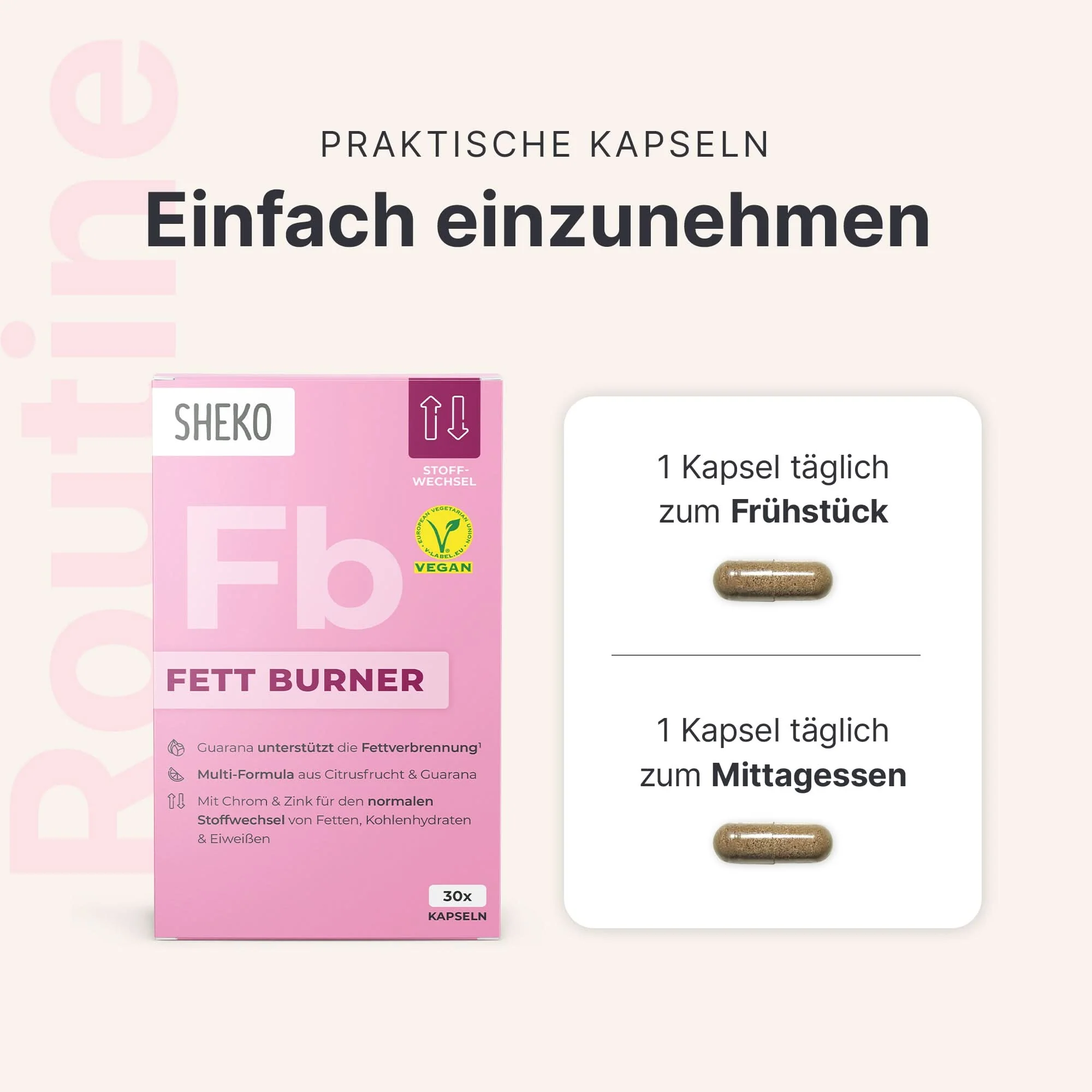 Fatburner Kapseln - Image 6