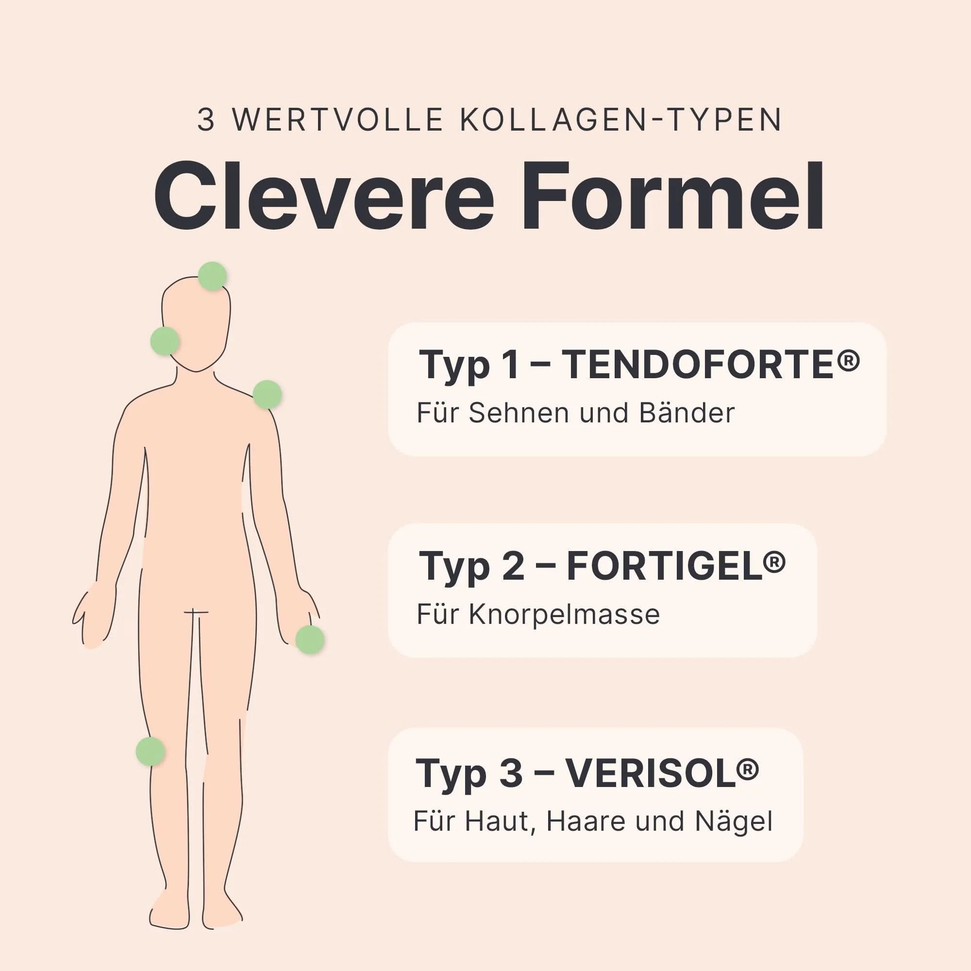Abnehmen + Kollagen - Image 5