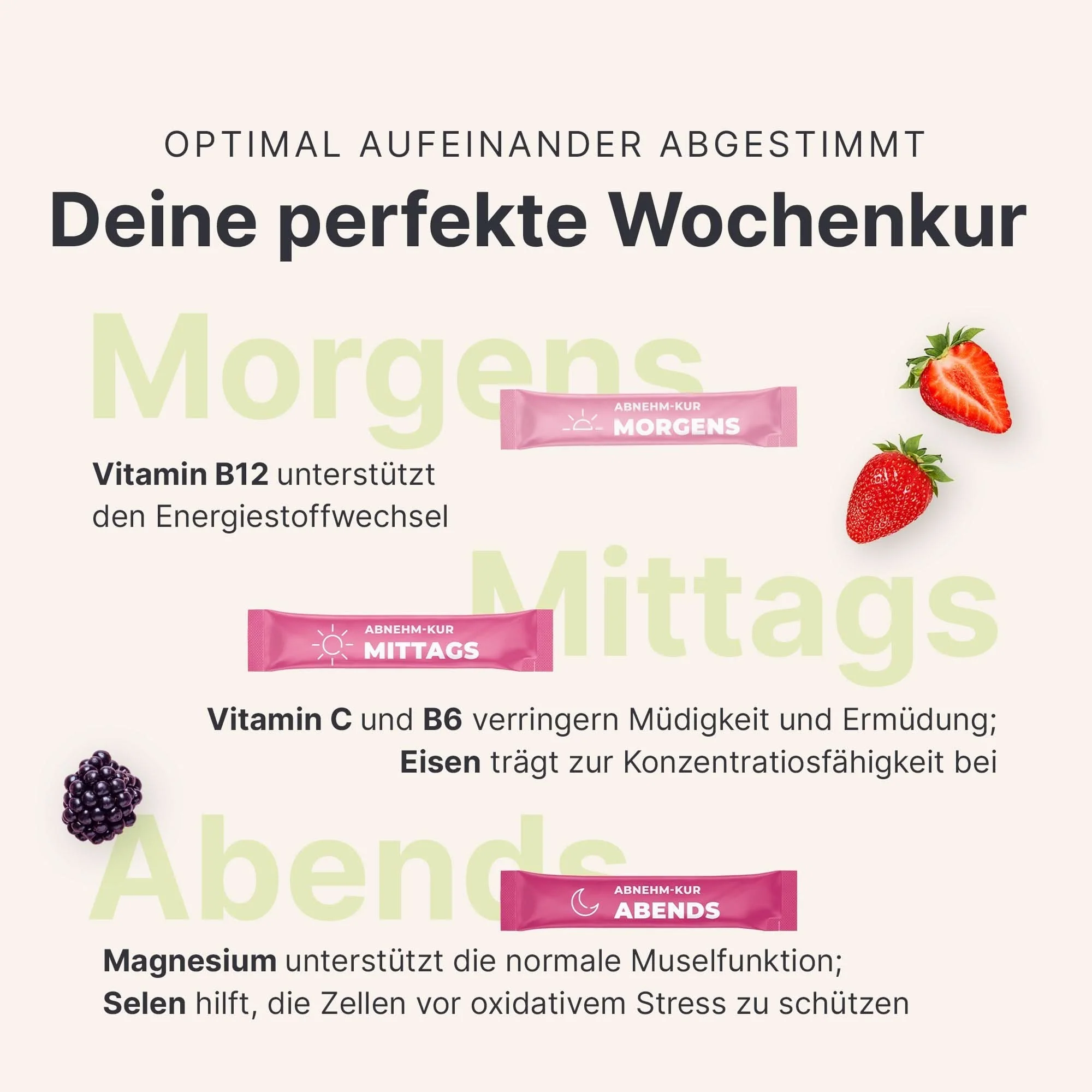 4 Wochen Starter-Set - Image 8