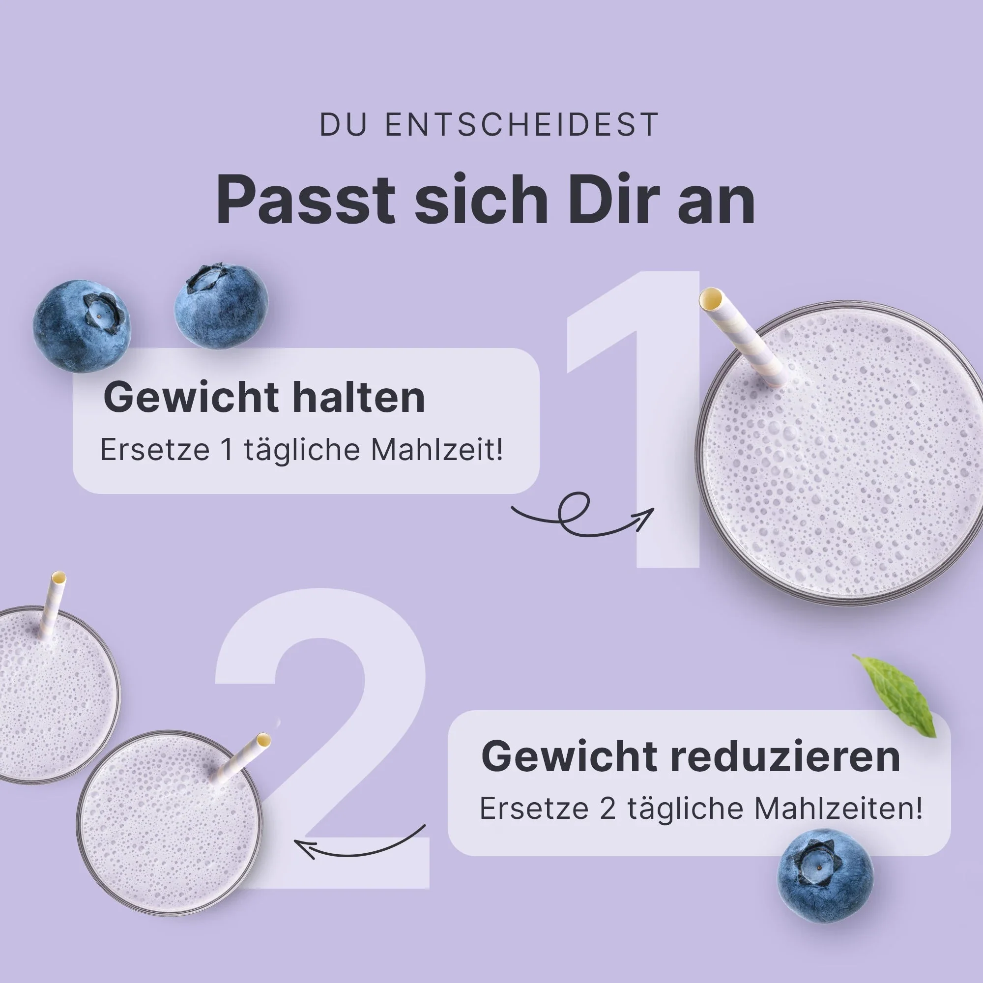 Balance Shake Blaubeer Muffin - Image 4